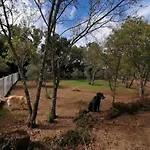 公寓 阿尔迪简易别墅 埃尔瓦