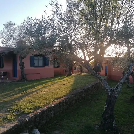 Complejo Vacacional Aldea Vetonia 4 Actividades Diarias Bar Restaurante Piscina Hervás