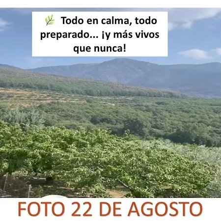 Complejo Aldea Vetonia Se Aceptan Mascotas Actividades Con Monitores Hasta El 8 De Septiembre *