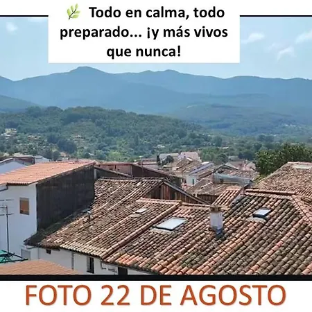 Complejo Aldea Vetonia Se Aceptan Mascotas Actividades Con Monitores Hasta El 8 De Septiembre Hervas