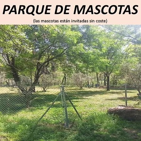 Apartment Complejo Aldea Vetonia Se Aceptan Mascotas Actividades Con Monitores Hasta El 8 De Septiembre Hervas