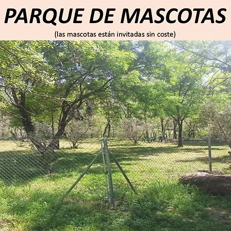 Complejo Aldea Vetonia Se Aceptan Mascotas Actividades Con Monitores Hasta El 8 De Septiembre * Hervas
