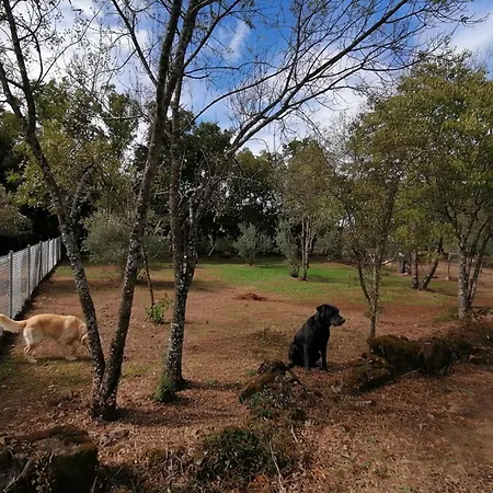 Lägenhet Ultimos Dias De Temporada Desde Una Noche Checkout 20H-Aldea Vetonia Alojamientos Con Encanto- Mascotas Aceptadas-Chiquipark 2 Plantas Cubierto-Info Y Dudas 618-95-92-51 - A 1 Min De Hervas- Naturaleza Y Tranquilidad En Estado Puro Hervás