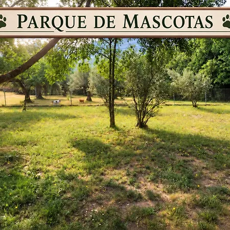 Aldea Vetonia Alojamientos Adults Only Naturaleza Y Desconexion Check-Out 19 H Mascotas Sin Coste * Hervas