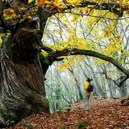 Aldea Vetonia Resort Naturaleza y Descanso-OTOÑO 2026 EXCLUSIVO PARA ADULTOS- CHECK OUT 19H mascotas sin coste *