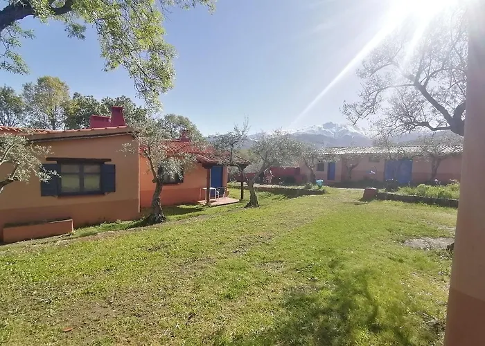 Aldea Vetonia Alojamientos Con Encanto Parque De Mascotas-No Se Aceptan En Julio Y Agosto- Varias Zonas Infantiles Y Deportivas 