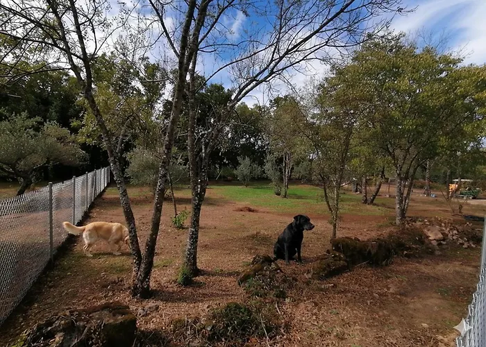 Apartment Aldea Vetonia Alojamientos Con Encanto Parque De Mascotas-No Se Aceptan En Julio Y Agosto- Varias Zonas Infantiles Y Deportivas 