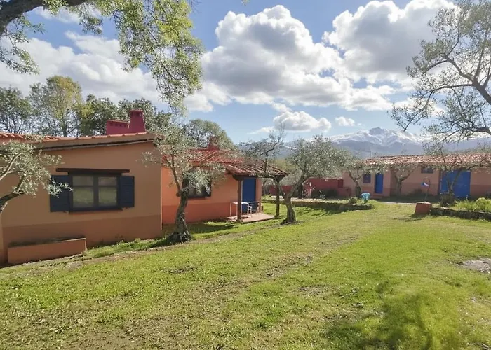 Aldea Vetonia Alojamientos Con Encanto Parque De Mascotas-No Se Aceptan En Julio Y Agosto- Varias Zonas Infantiles Y Deportivas 