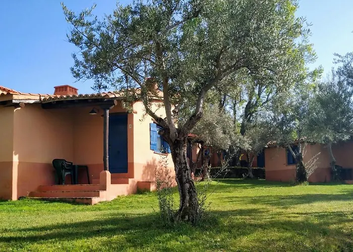 Aldea Vetonia Alojamientos Con Encanto Parque De Mascotas-No Se Aceptan En Julio Y Agosto- Varias Zonas Infantiles Y Deportivas 