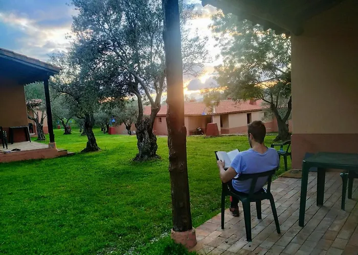 Aldea Vetonia Alojamientos Con Encanto Parque De Mascotas-No Se Aceptan En Julio Y Agosto- Varias Zonas Infantiles Y Deportivas 